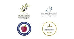 مجموعة الخيار الديمقراطي